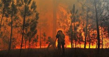   ارتفاع مخاطر حرائق الغابات بسبب موجة الحر الشديدة في أسبانيا