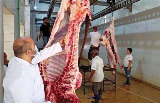 «جاهزون لأضاحى العيد بالمجان».. شعار مجازر البحر الأحمر