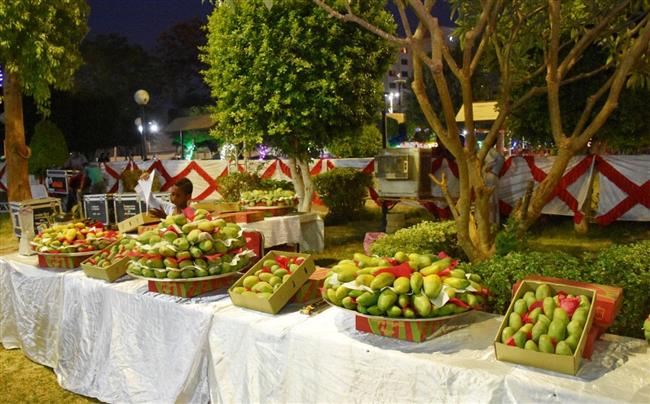 اختتام مهرجان "مانجو أسوان" 2021