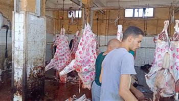  مجازر كفر الشيخ الـ19 تستقبل 530 رأس ماشية فى أول أيام عيد الأضحى المبارك