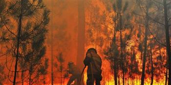  الحرائق تجتاح غابات ولاية أوريجون الأمريكية