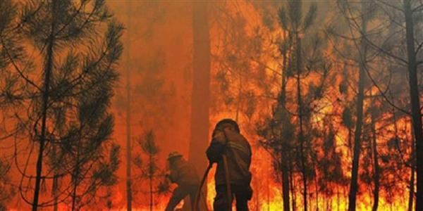 الحرائق تجتاح غابات ولاية أوريجون الأمريكية