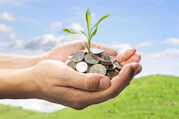 دار الإفتاء تجيز توجيه أموال الزكاة والصدقات لـ «حياة كريمة»