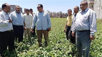   «الزراعة»: منع التعدي على الأراضي وحل مشاكل المزارعين في دمياط