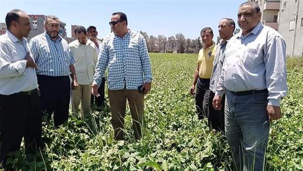 «الزراعة»: منع التعدي على الأراضي وحل مشاكل المزارعين في دمياط