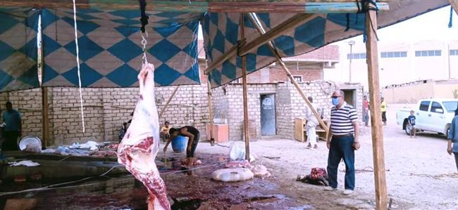 محافظ أسوان يتابع جهود المحليات لأعمال النظافة والإنارة والحدائق العامة