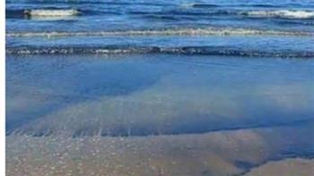   محافظة بورسعيد: بدء التعامل مع بقعة زيت ظهرت في مياه البحر