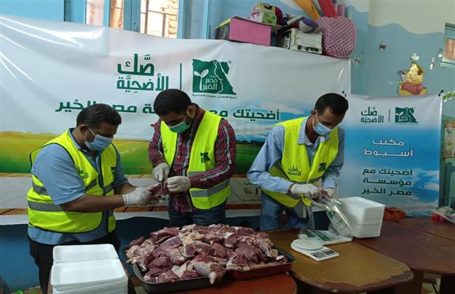 «مصر الخير» توزع لحوم 203 رأس ماشية على الأكثر احتياجاً بأسيوط