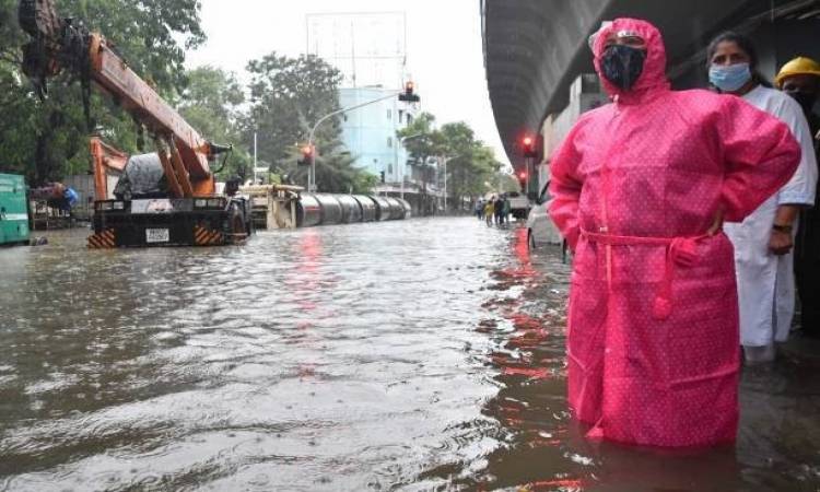 ارتفاع حصيلة ضحايا الأمطار في الهند لـ 115 قتيلا