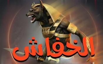 غدا «رواية الخفاش» مع الباعة.. وتكشف طريقة عمل التنظيم الدولى مع أكبر ١٧ جهاز مخابرات 
