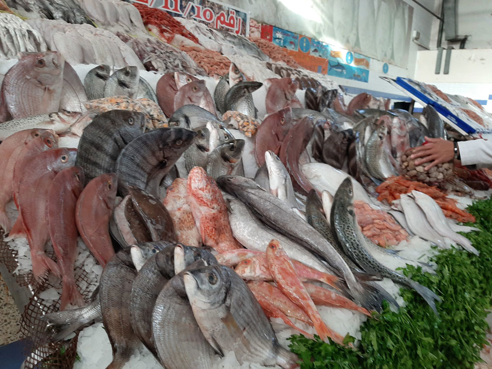 الركود يسيطر على أسواق الأسماك بعد انتهاء عيد الأضحى