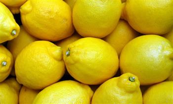   استقرار أسعار الليمون في السوق