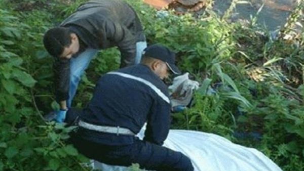 «مبيد حشري» يُنهى حياة مزارع في المنيا