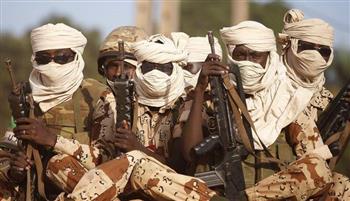   مقتل 18 مدنيًا في النيجر جراء هجوم قرب الحدود مع مالي