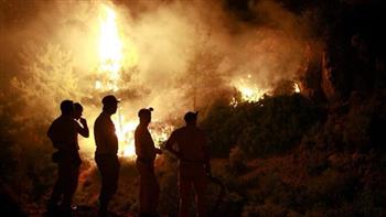   مصر تعزي أسر ضحايا حرائق الغابات في تركيا 