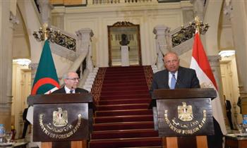   رسالة جزائرية للرئيس السيسى بتعزيز العلاقات الثنائية 