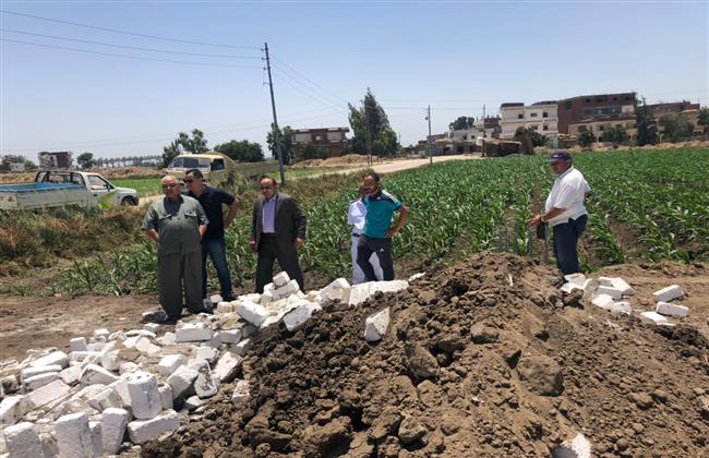 إزالة التعديات على الأراضي الزراعية وأملاك الدولة بالبحيرة