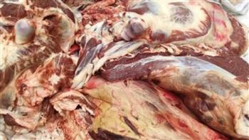   «تموين قنا» يواصل حملات الرقابة علي أسواق اللحوم قبل عيد الأضحى