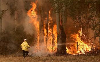   قبرص تعلن السيطرة على حريق الغابات