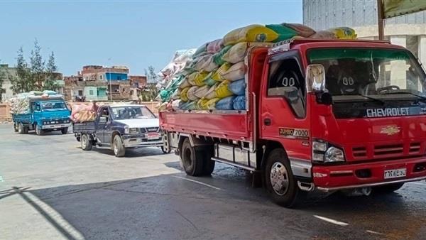توريد 237 ألف طن قمح ببني سويف