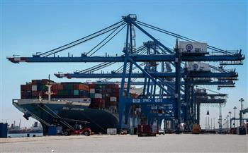   ميناء دمياط يستقبل ١٦سفينة وناقلة غاز بحمولة 64 الف طن