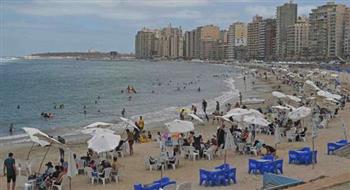  محافظ الإسكندرية: تغريم 7 مستأجرين ومصادرة 350 شيشة بالشواطئ