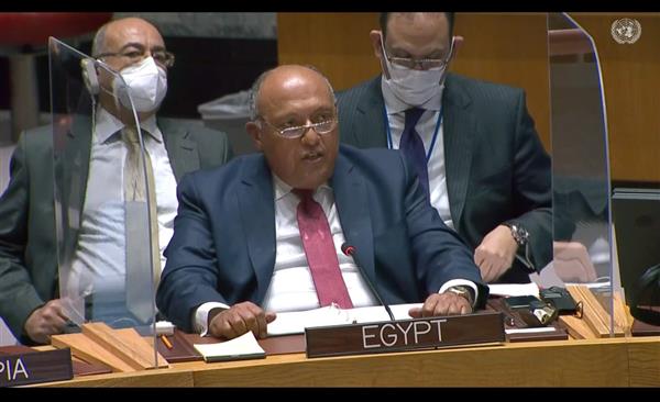 شكري أمام مجلس الأمن: جئنا نبحث عن حل سلمى لدرء العواقب الوخيمة