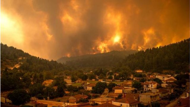 مصر تعزي الجزائر في ضحايا حرائق الغابات