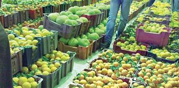   10 % زيادة في الصادرات الزراعية المصرية 