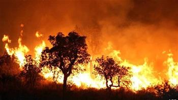  حرائق الجزائر النيران تشتعل بـ 50 منطقة وسيناريو العام الماضي يتكرر