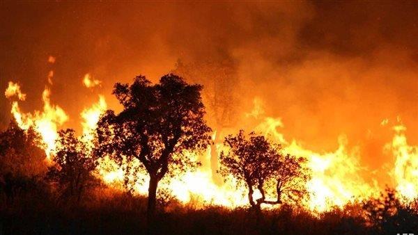 حرائق الجزائر النيران تشتعل بـ 50 منطقة وسيناريو العام الماضي يتكرر