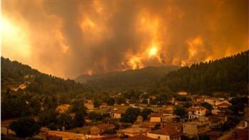   مصر تعزي الجزائر في ضحايا حرائق الغابات
