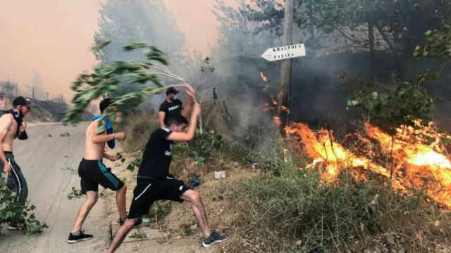 التلفزيون الجزائري: حصيلة ضحايا حرائق الغابات ترتفع إلى 65 شخصا