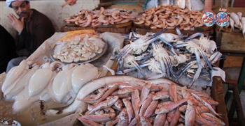    استقرار أسعار الأسماك بسبب زيادة المعروض بالأسواق