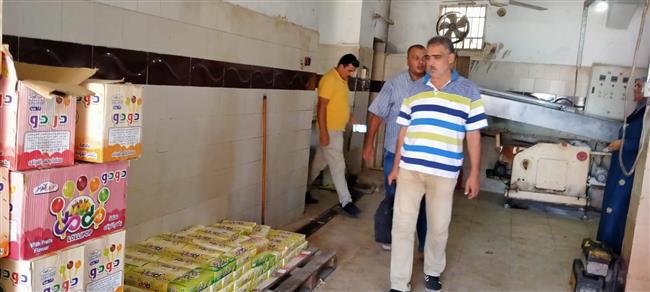 ضبط ١٠٠ كجم اسماك غير صالحة للاستهلاك الآدمي بالبحيرة