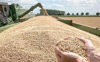   قنا تنتهي من تورد 168 ألف و819 طن من القمح  لهذا العام