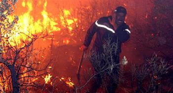   الرئيس الجزائري: أغلب الحرائق كانت بفعل أياد إجرامية