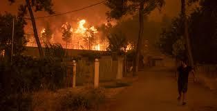   الوكالة الفضائية الجزائرية: مصدر حرائق الغابات «إجرامي»