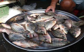   أسعار الأسماك اليوم السبت " بسوق العبور "