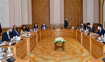   وزير الخارجية يعقد مباحثات مع نظيره الياباني بـ القاهرة