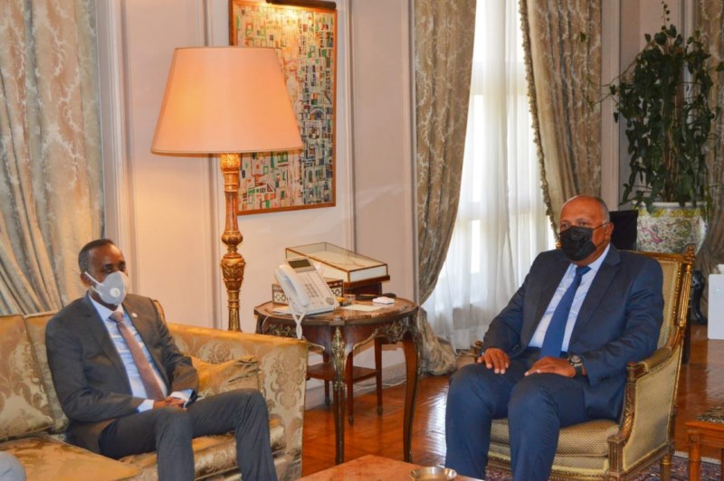 شكري يبحث مع رئيس وزراء الصومال العلاقات الثنائية
