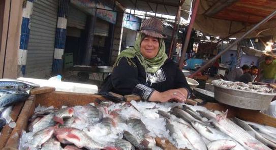 أسعار الأسماك اليوم الثلاثاء بسوق العبور