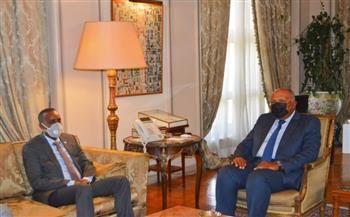   شكري يبحث مع رئيس وزراء الصومال العلاقات الثنائية