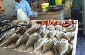 أسعار الأسماك اليوم 18 أغسطس