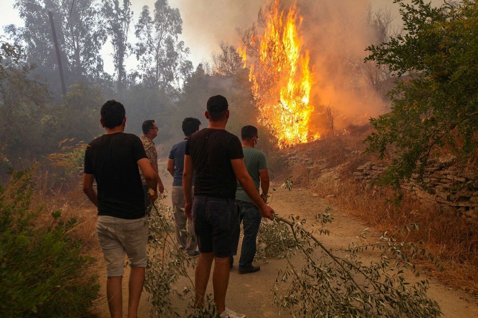 حرارة الجو تشعل النيران فى بلغاريا
