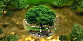   «الدولي للمناخ الأخضر» يناقش مؤشرات الوصول لمستقبل مستدام ذكى