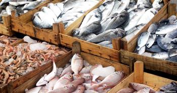  أسعار الأسماك اليوم السبت في الأسواق التجارية