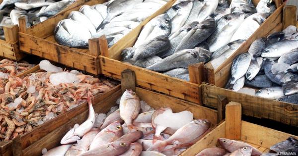 أسعار الأسماك اليوم السبت في الأسواق التجارية