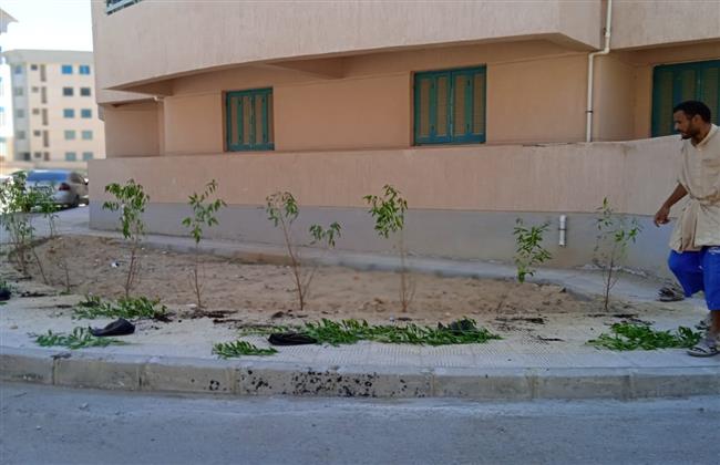 نقابة المهندسين بالإسكندرية: زراعة ١٨٠٠ شجره جديدة فى مدينة برج العرب