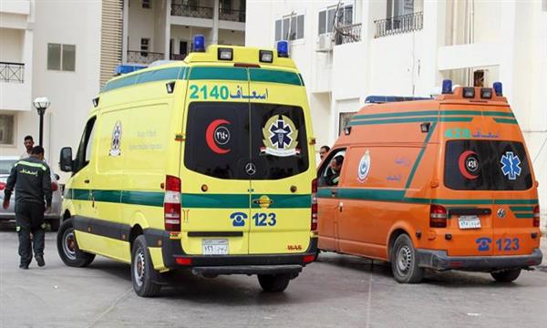 إصابة 14 شخصا بالتسمم عقب تناولهم ملوحة فاسدة بسوهاج